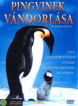 Poster Pingvinek vándorlása 2005