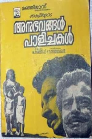 Poster Anubhavangal Palichakal (1971)