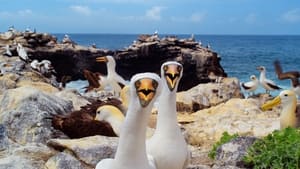 Galapagos 3D with David Attenborough film complet