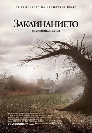 Заклинанието (2013)