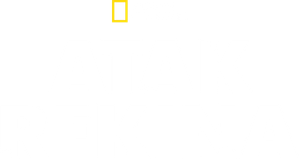 When Sharks Attack — Logos 7