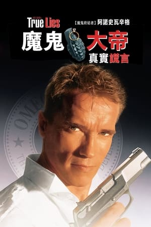 Poster 真实的谎言 1994