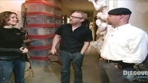 Pogromcy mitów: s4e19