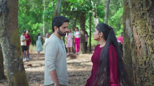 Vikrant Warns Ritu