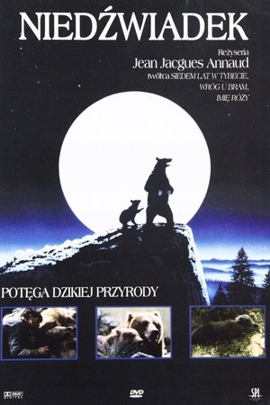 Image Niedźwiadek