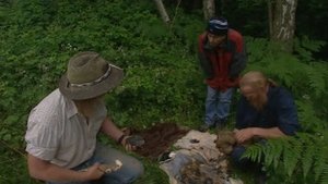 Image In Search of the Earliest Traces of Mankind - Elveden, Suffolk