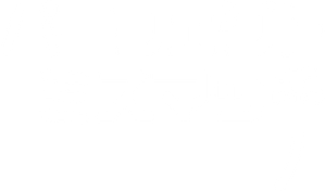 Perfect Mismatch — Logos 4