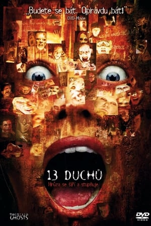 13 duchů (2001)