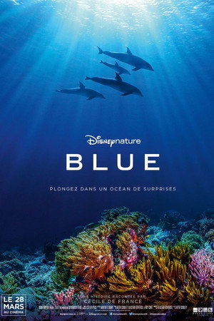 Dolphin Reef 30