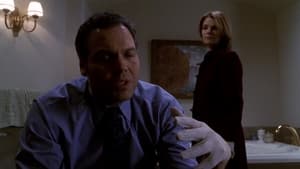 Law & Order: Criminal Intent: 2×12