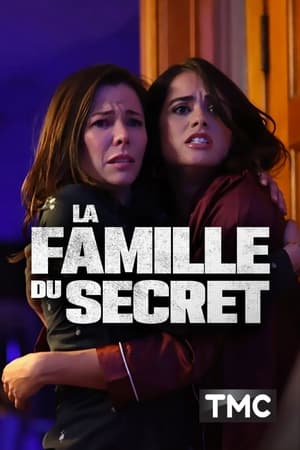 Poster La Famille du secret 2021