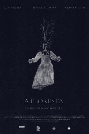 A Floresta 10