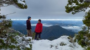 Griff's Great Kiwi Road Trip Get Some Number 8 Wire: Wellington to Lake Coleridge