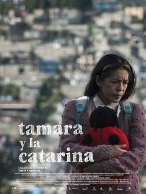 Tamara and the Ladybug