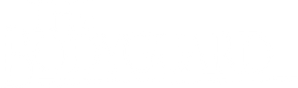 The Bodyguard