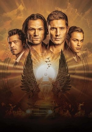 <Images posters