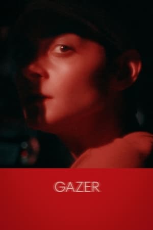 Image Gazer