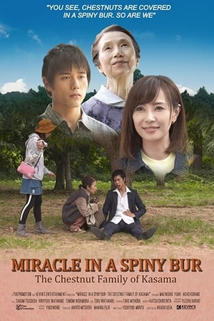 Poster Miracle in Kasama (2018)