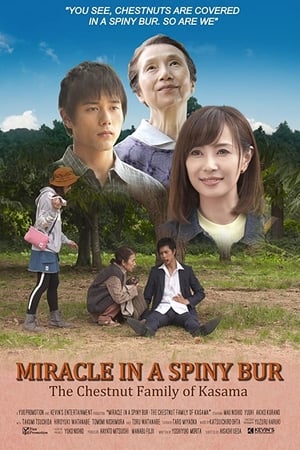 Poster Miracle in Kasama 2018