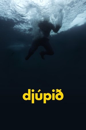 Poster Djúpið 2012