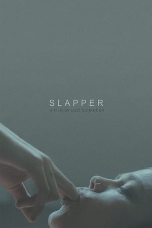 Poster Slapper 2016