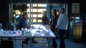 CSI: Crime Scene Investigation: 11×15