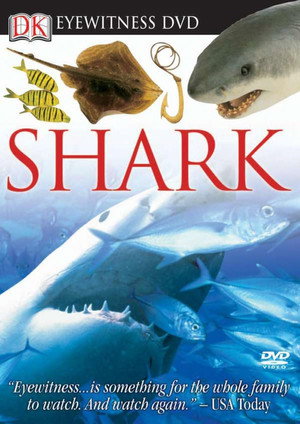Eyewitness: Shark 2