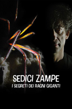 Sedici zampe - I segreti dei ragni giganti