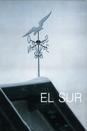 El Sur 41