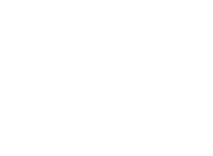 疯人院 — Logos 1