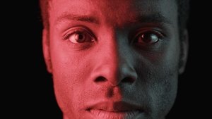 The Skin We're In