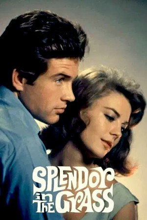 Постер фильма «Великолепие в траве (1961)» — (19 из 32)