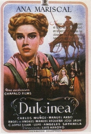 Poster di Dulcinea