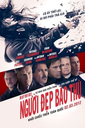 Poster Người Đẹp Báo Thù 2011