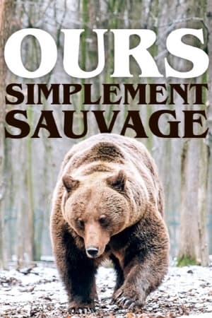 Poster Ours, simplement sauvage 2019