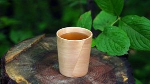 Journeys in Japan: 15×21