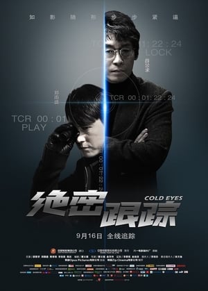 Poster 绝密跟踪 2013