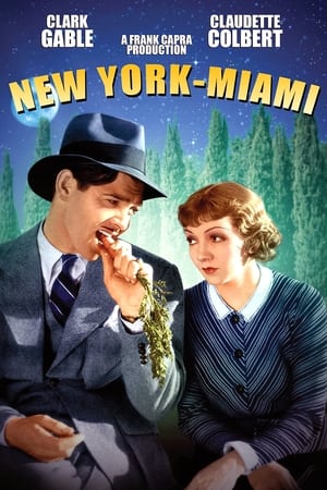 Poster New York - Miami 1934