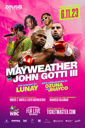 Image Floyd Mayweather Jr. vs. John Gotti III