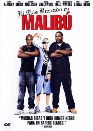 Poster El más buscado en Malibú 2003