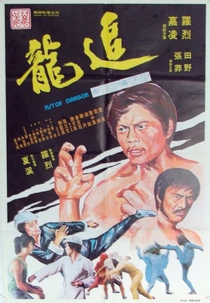 Poster 追龍 1977