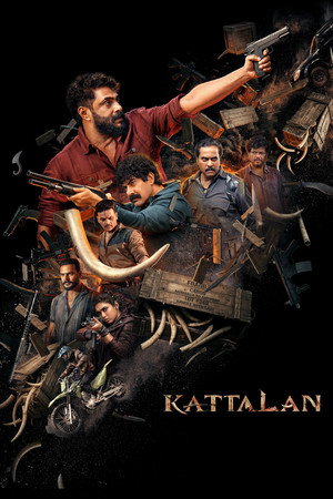 Kattalan 16