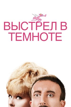 Image Выстрел в темноте