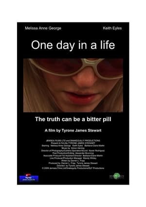 Poster One Day in a Life (2013)