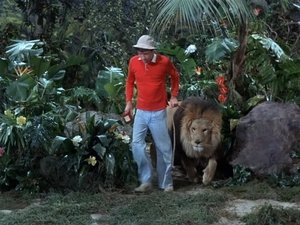 Gilligan's Island Feed the Kitty