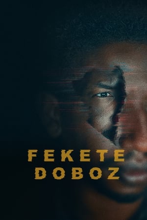 Fekete doboz (2020)