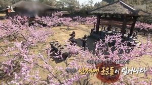 Episode 319
