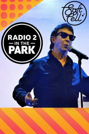 Soft Cell: Radio 2 in the Park