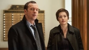 Blue Bloods 3 episodio 14