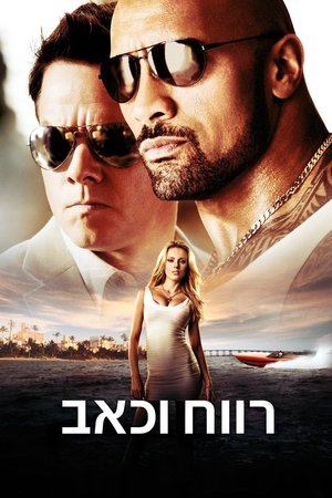 Image רווח וכאב